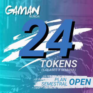 24 Tokens Horario Libre Semestral Ñuñoa